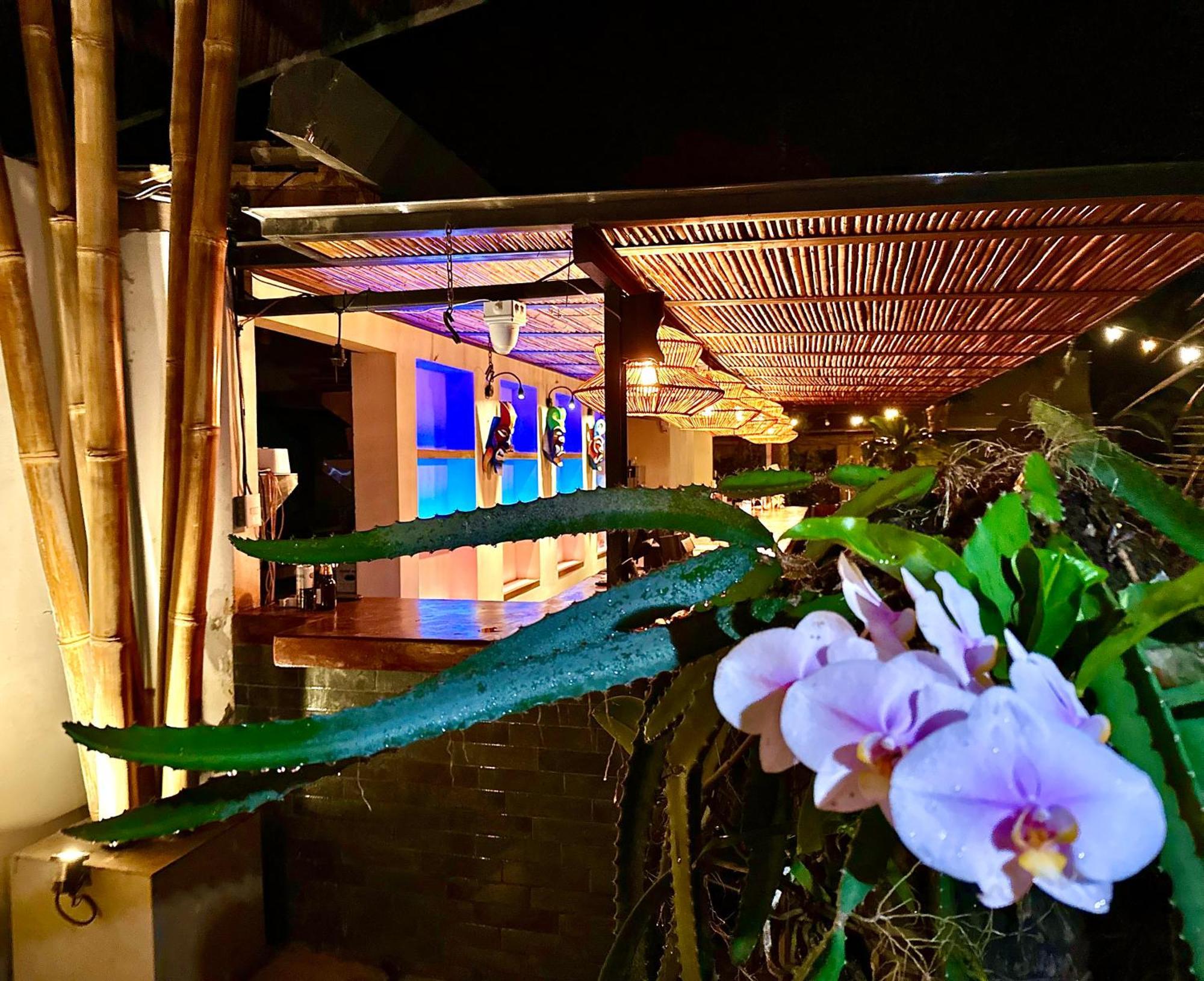 Libelula Lounge - Boutique Hotel Potrero  Extérieur photo