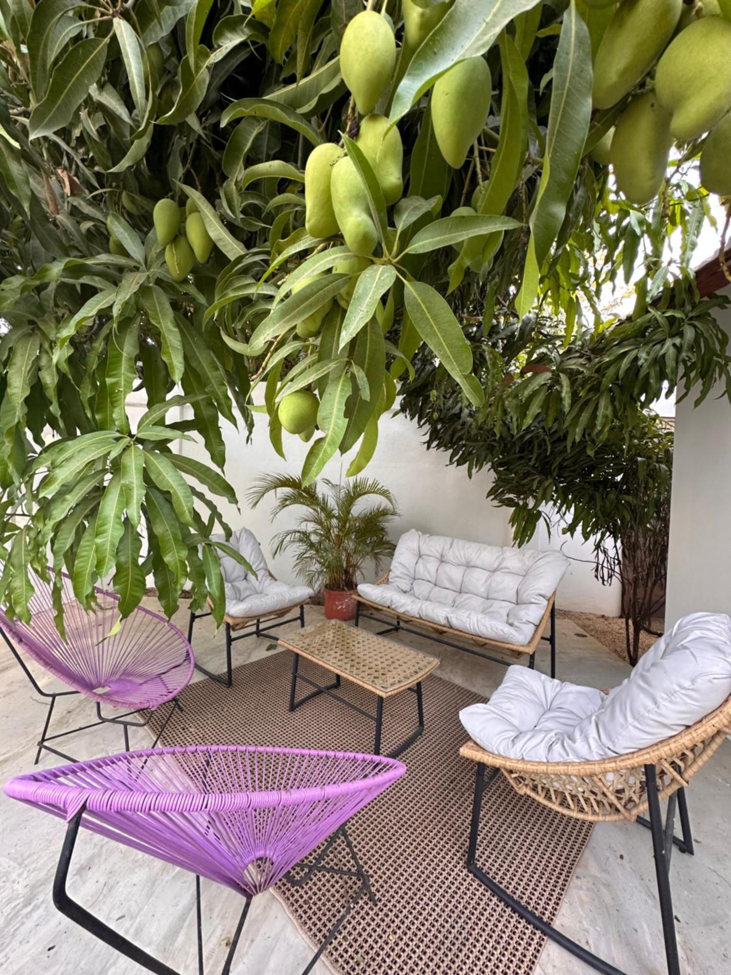 Libelula Lounge - Boutique Hotel Potrero  Extérieur photo