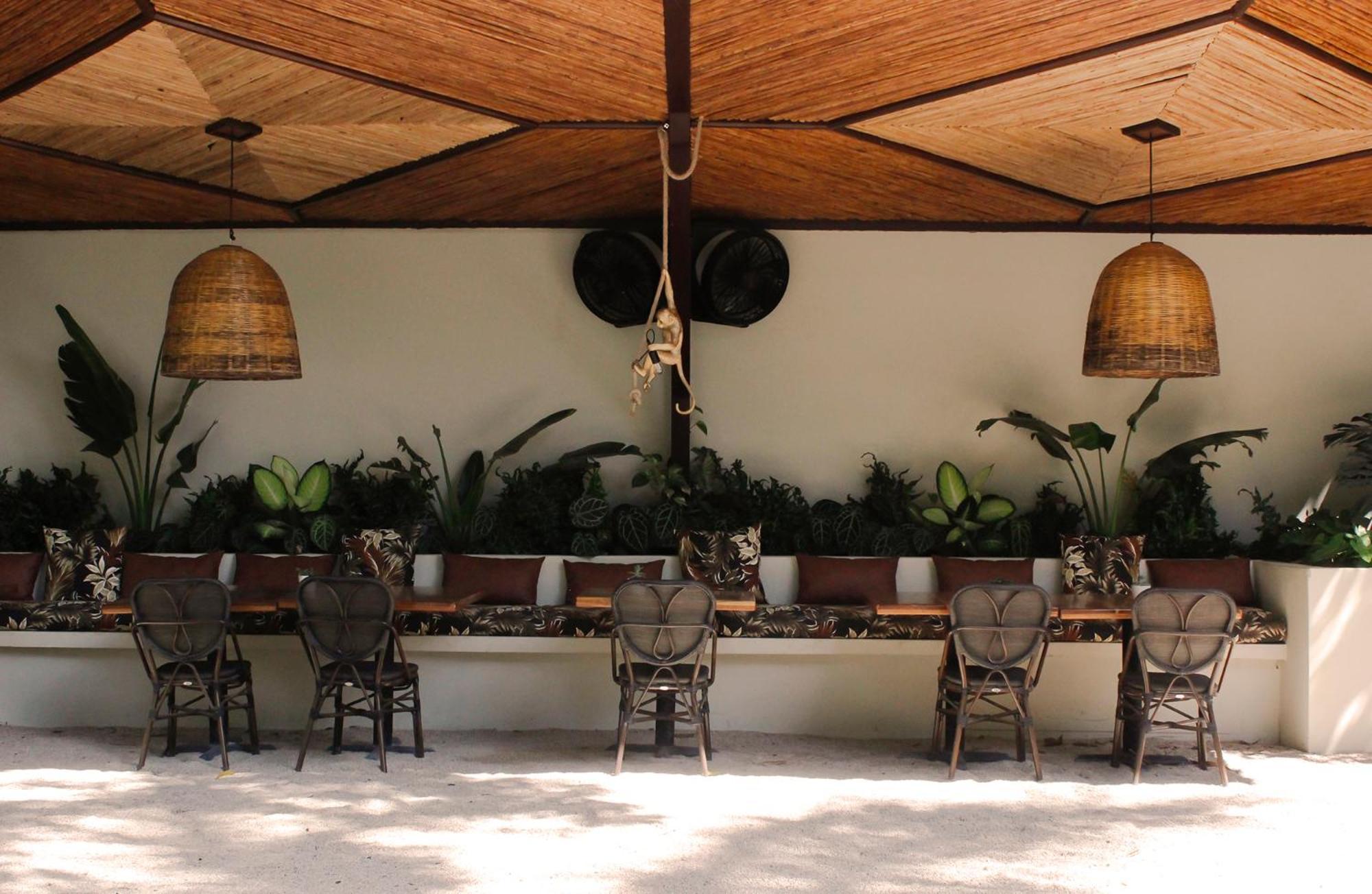 Libelula Lounge - Boutique Hotel Potrero  Extérieur photo